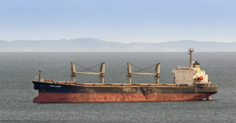 YING LI Bulk Carrier IMO 9161596 photo 5
