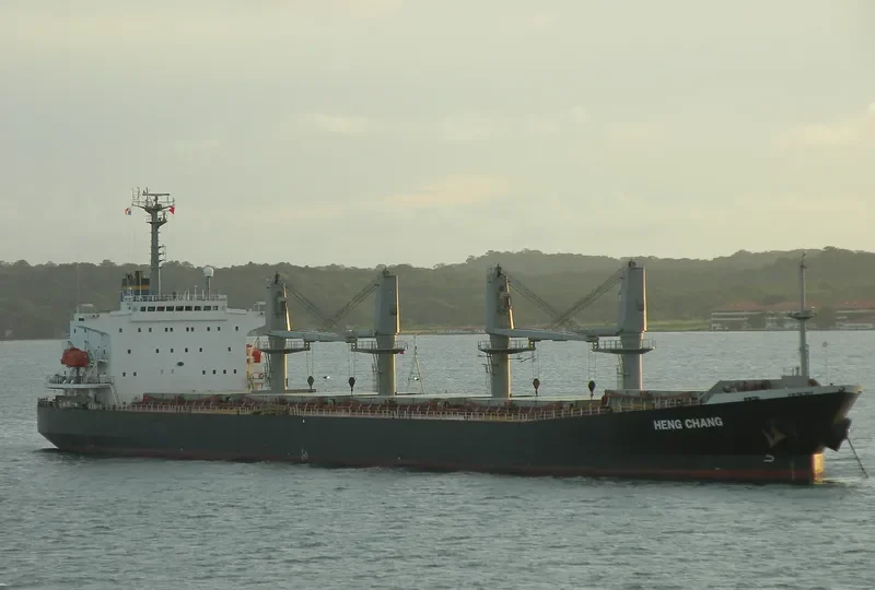 YING LI Bulk Carrier IMO 9161596 photo 8