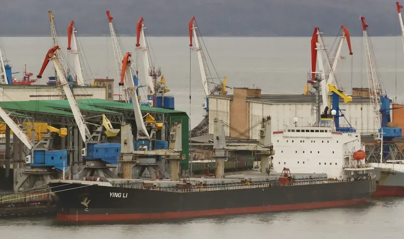 YING LI Bulk Carrier IMO 9161596 photo 10