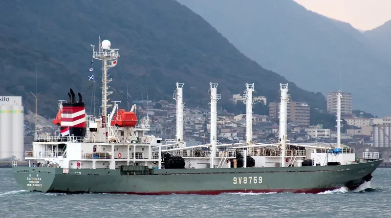 YUN RUN 3 General Cargo IMO 9161613 photo 6