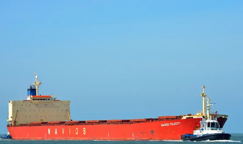 EMPEROR LOONG Bulk Carrier IMO 9161675 photo 4