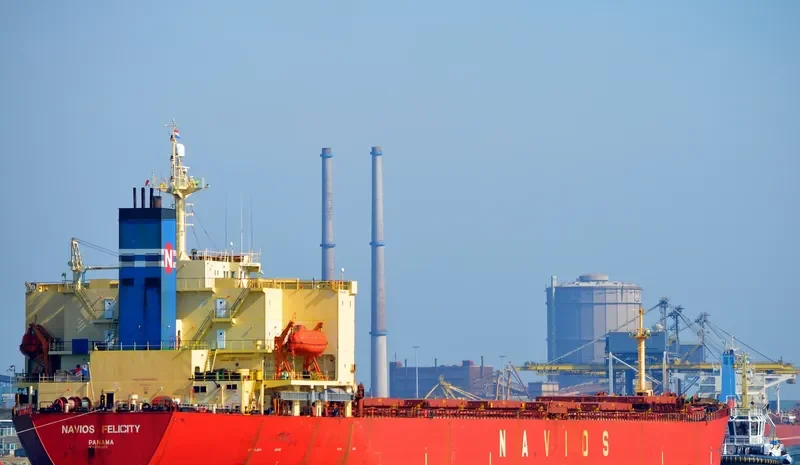 EMPEROR LOONG Bulk Carrier IMO 9161675 photo 5