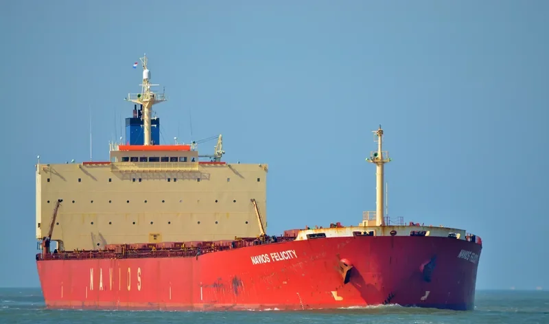 EMPEROR LOONG Bulk Carrier IMO 9161675 photo 6