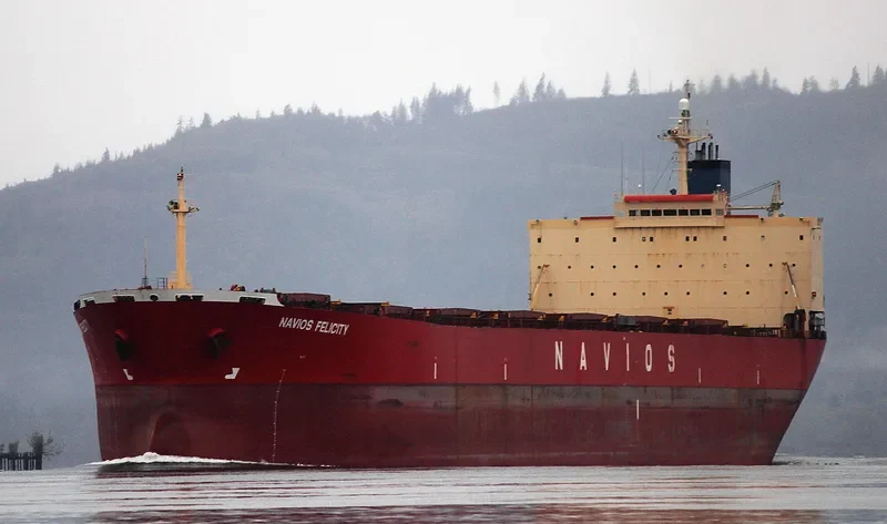 EMPEROR LOONG Bulk Carrier IMO 9161675 photo 7