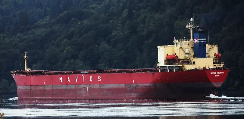 EMPEROR LOONG Bulk Carrier IMO 9161675 photo 8