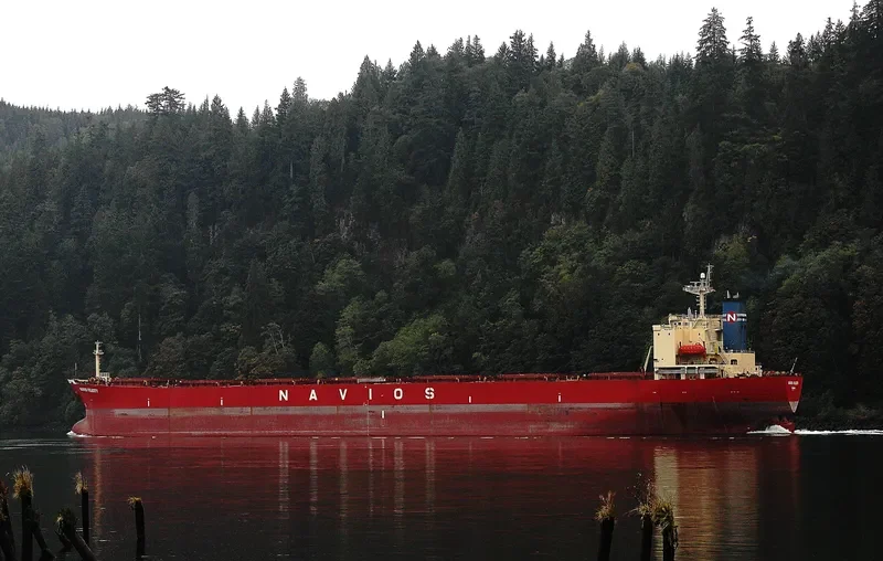 EMPEROR LOONG Bulk Carrier IMO 9161675 photo 9