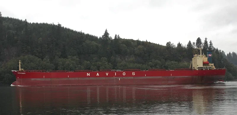 EMPEROR LOONG Bulk Carrier IMO 9161675 photo 10