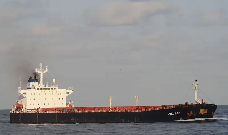 BEI LUN HAI 26 Bulk Carrier IMO 9161742 photo 6