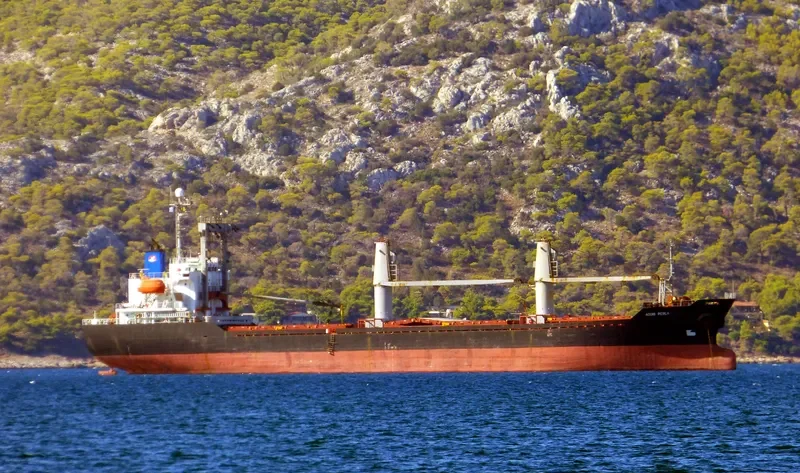 AQUIS PERLA Bulk Carrier IMO 9161869 photo 3