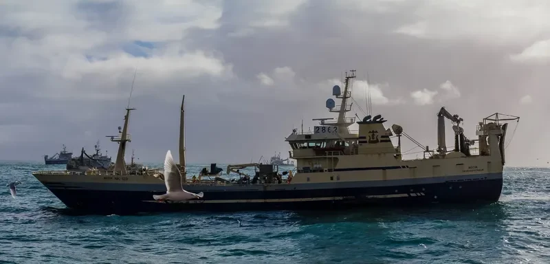 GITTE General Cargo IMO 9161950