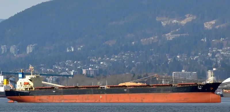 LING GANG 9 Bulk Carrier IMO 9162019