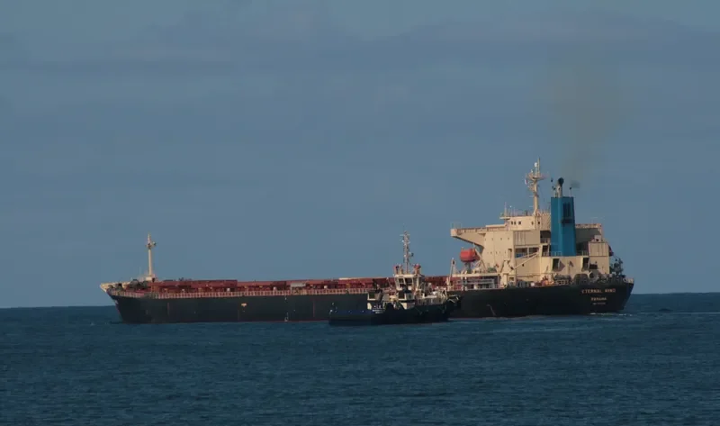 LING GANG 9 Bulk Carrier IMO 9162019 photo 2