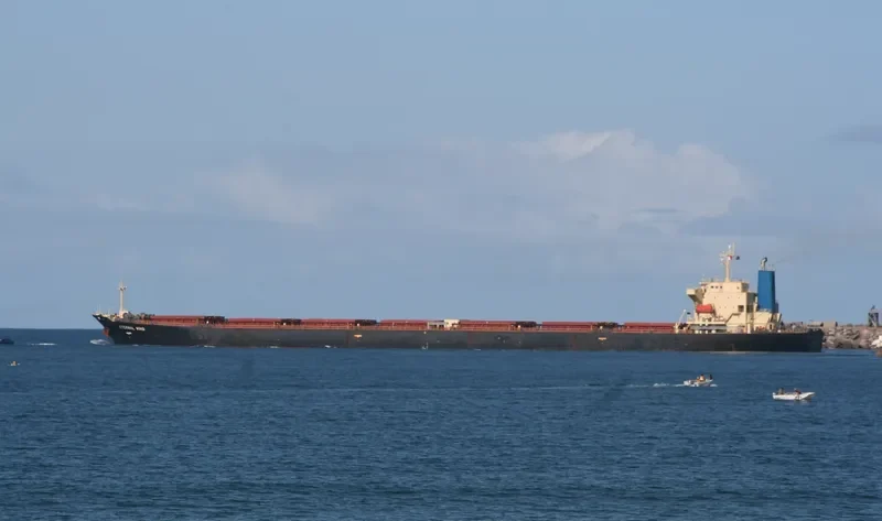 LING GANG 9 Bulk Carrier IMO 9162019 photo 3