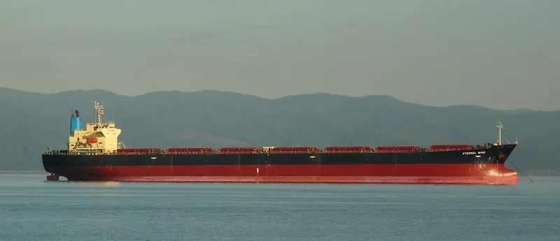 LING GANG 9 Bulk Carrier IMO 9162019 photo 5