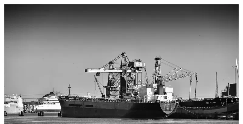 FU MAN Bulk Carrier IMO 9162045 photo 2