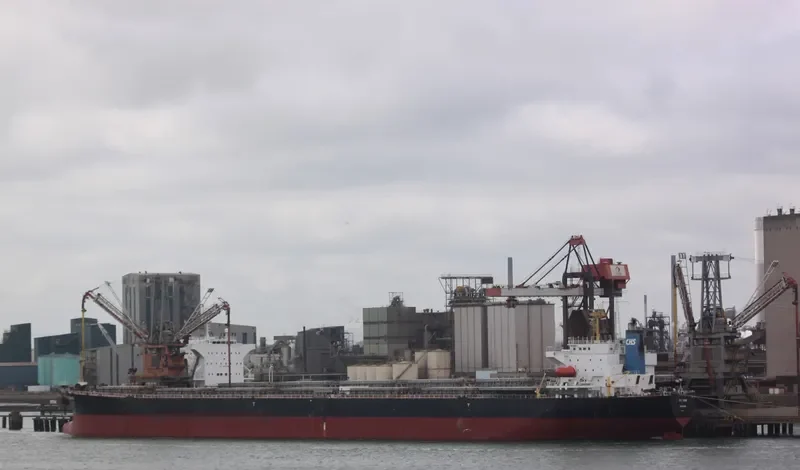FU MAN Bulk Carrier IMO 9162045 photo 8