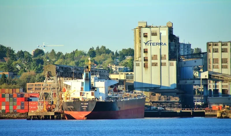 FU MAN Bulk Carrier IMO 9162045 photo 9