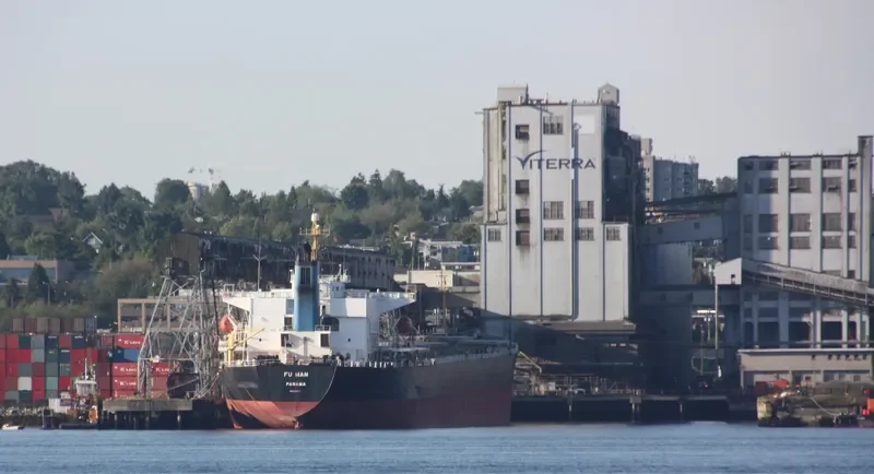 FU MAN Bulk Carrier IMO 9162045 photo 10