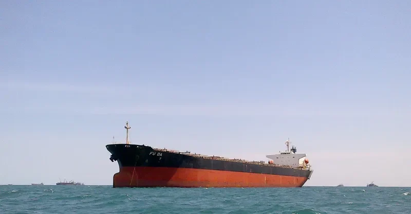 FU DA Bulk Carrier IMO 9162057 photo 7