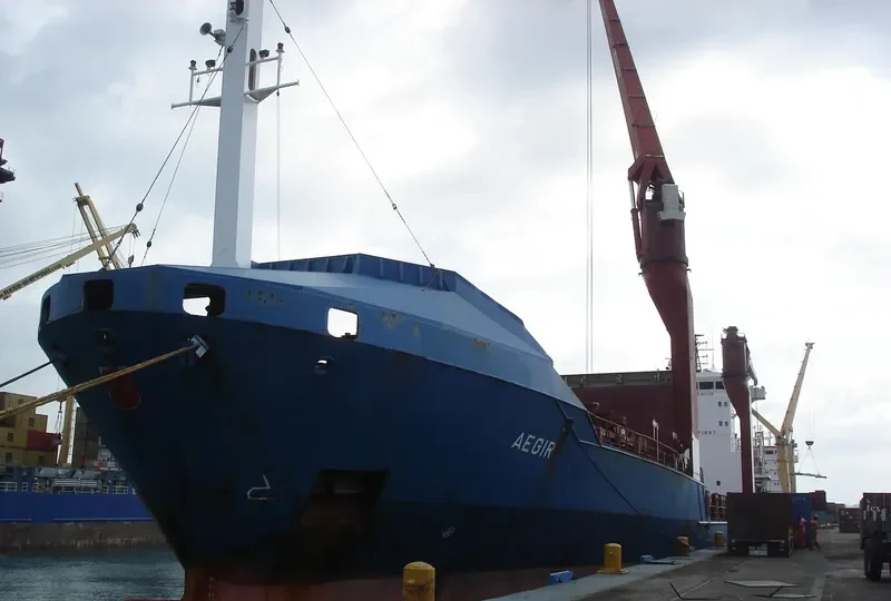 SAN PEDRO CALUNGSOD Container Ship IMO 9162095