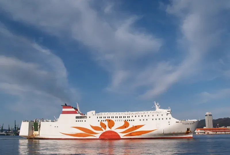 SUN FLOWER IVORY Ro-Ro IMO 9162162 photo 10