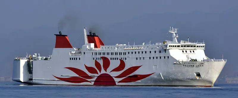 SUN FLOWER COBALT Ro-Ro IMO 9162174 photo 2