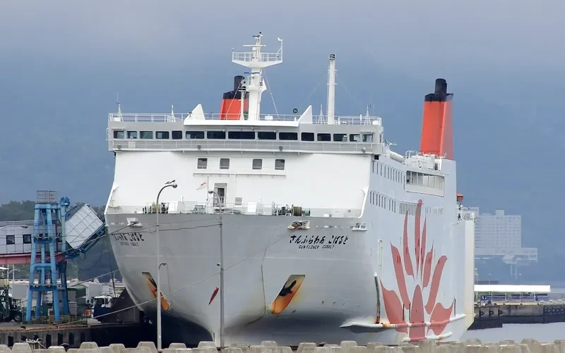 SUN FLOWER COBALT Ro-Ro IMO 9162174 photo 5