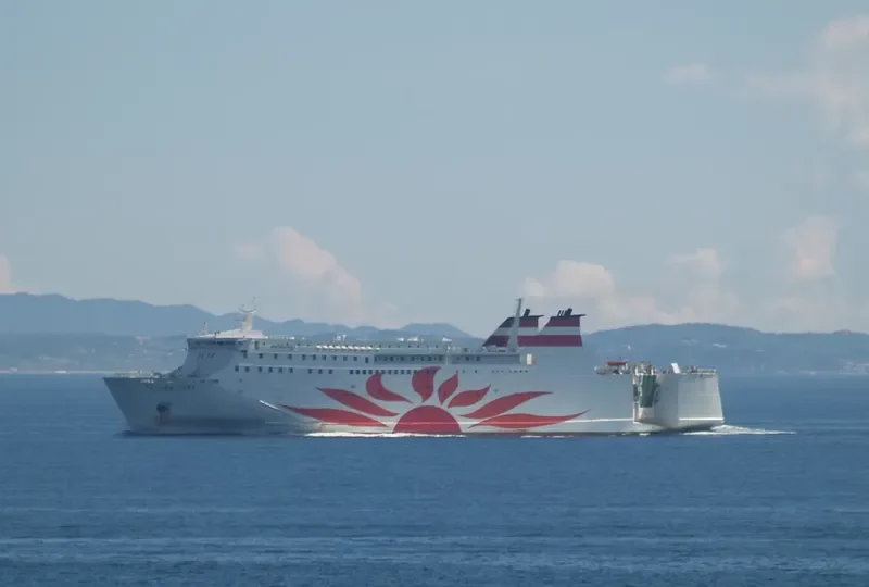 SUN FLOWER COBALT Ro-Ro IMO 9162174 photo 10