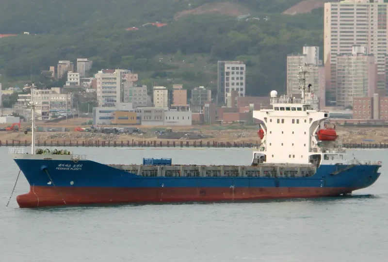 DAMAI BAHAGIA Container Ship IMO 9162239 photo 5