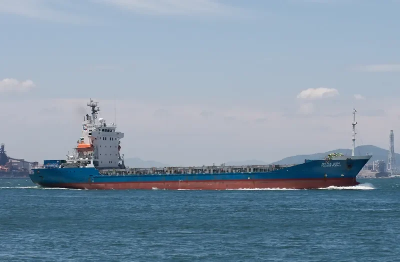 DAMAI BAHAGIA Container Ship IMO 9162239 photo 8
