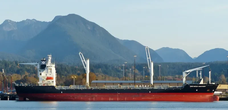 SANTA FIORENZA Container Ship IMO 9162253 photo 5