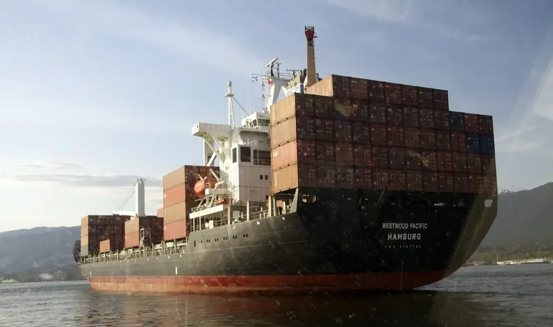XIN LONG YUN 86 Container Ship IMO 9162265