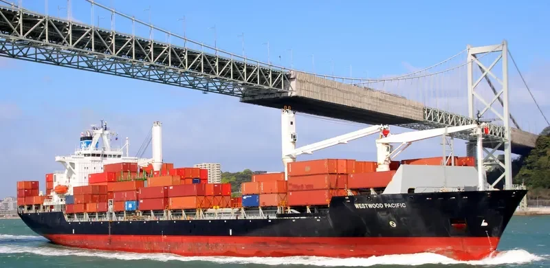 XIN LONG YUN 86 Container Ship IMO 9162265 photo 4