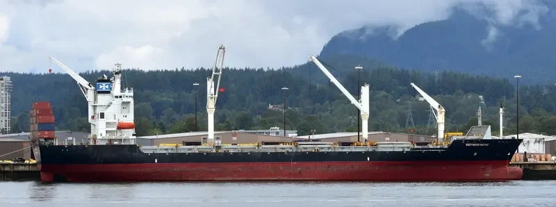 XIN LONG YUN 86 Container Ship IMO 9162265 photo 10