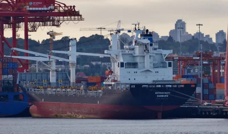 XIN LONG YUN 86 Container Ship IMO 9162265 photo 16