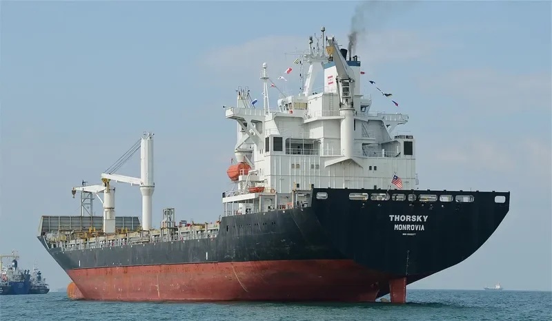 MSC SKY II Container Ship IMO 9162277