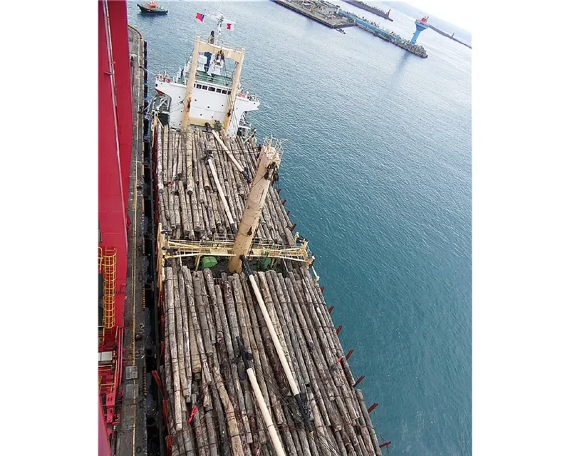 BLOSSOM PESCADORES General Cargo IMO 9162306 photo 6