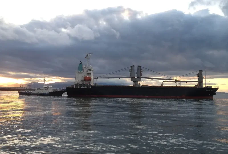 AFFLUENT OCEAN General Cargo IMO 9162320 photo 5