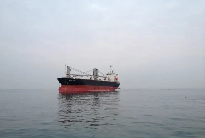 AFFLUENT OCEAN General Cargo IMO 9162320 photo 6