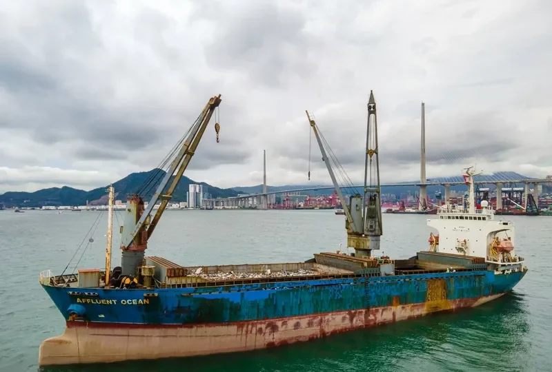 AFFLUENT OCEAN General Cargo IMO 9162320 photo 10