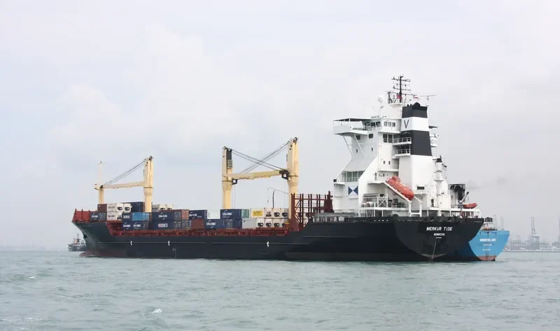 OEL SHRAVAN Container Ship IMO 9162368 photo 2