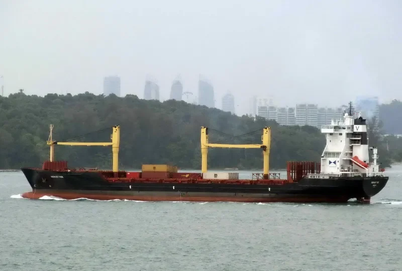 OEL SHRAVAN Container Ship IMO 9162368 photo 3