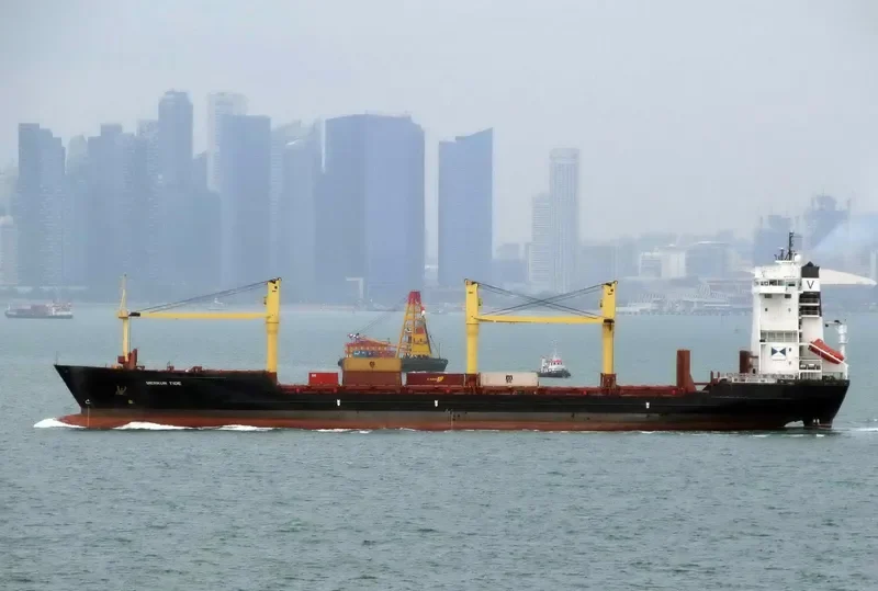 OEL SHRAVAN Container Ship IMO 9162368 photo 4