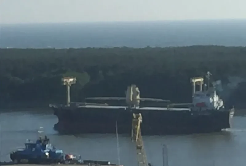 DOLPHIN STAR General Cargo IMO 9162394 photo 2