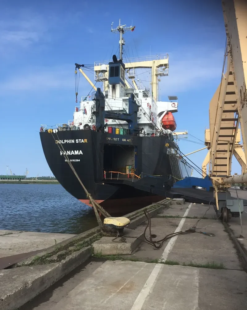 DOLPHIN STAR General Cargo IMO 9162394 photo 3