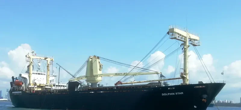 DOLPHIN STAR General Cargo IMO 9162394 photo 5