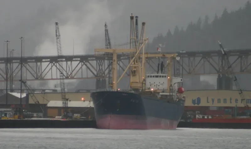 DOLPHIN STAR General Cargo IMO 9162394 photo 7