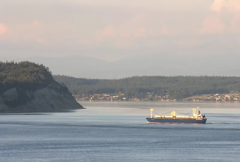 DOLPHIN STAR General Cargo IMO 9162394 photo 10