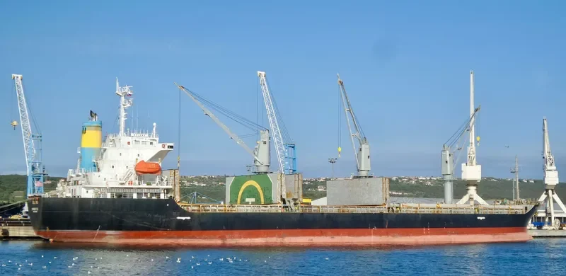 VAFAA M Bulk Carrier IMO 9162409 photo 7