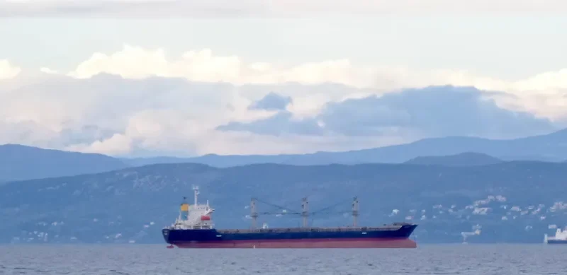 VAFAA M Bulk Carrier IMO 9162409 photo 10